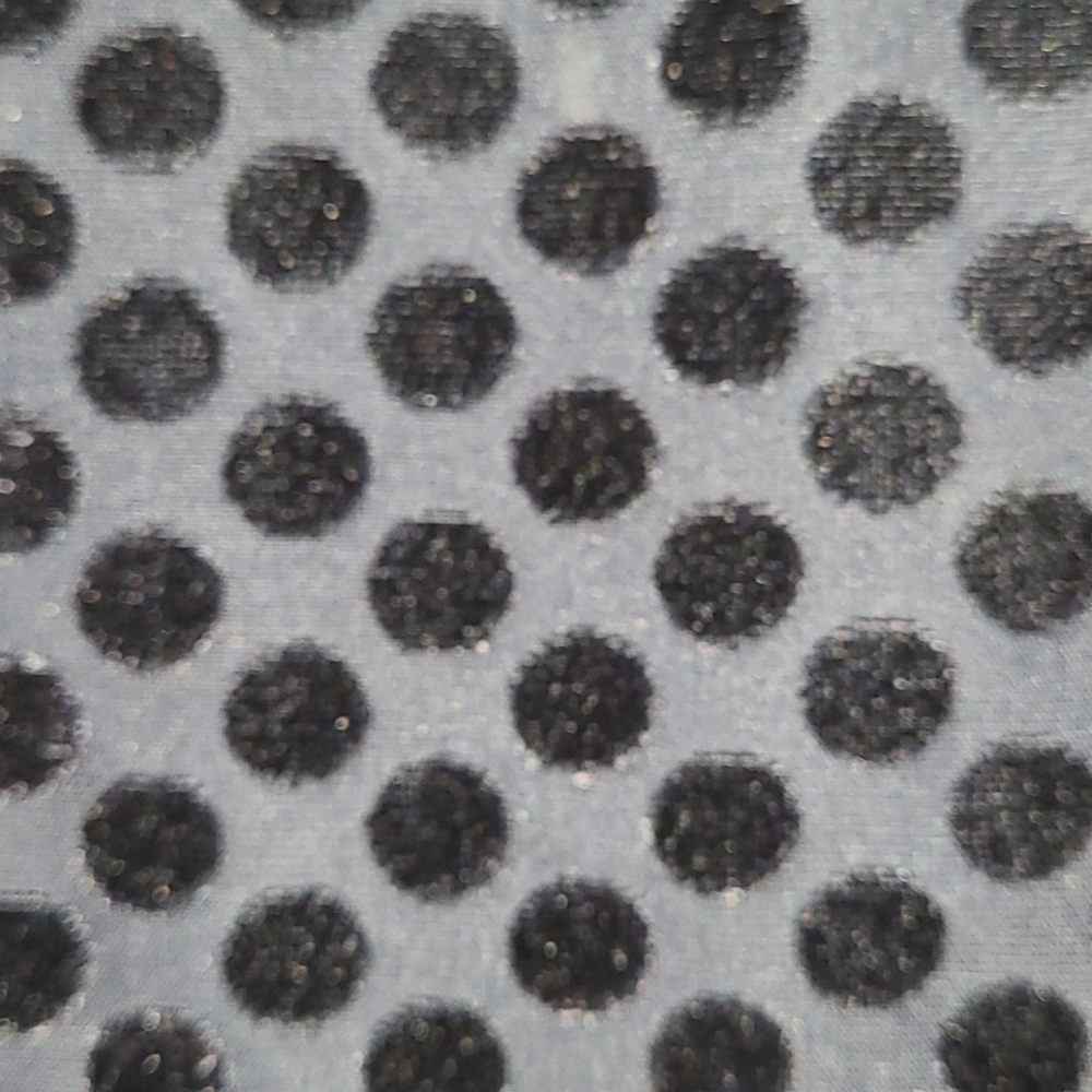 NWOT Velvet Dots Top